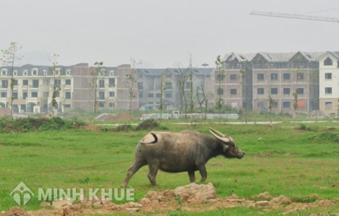 Địa điểm - đất thổ cư ở tỉnh nào?