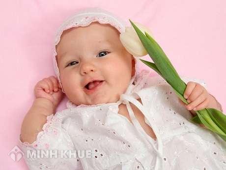 Có thể nhận con đẻ (ngoài gia thú) làm con nuôi được không ?