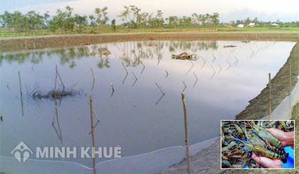 Đất ao có được cấp sổ đỏ không ? Thủ tục và chi phí như thế nào ? Tôi có phải đóng thuế gì không ?