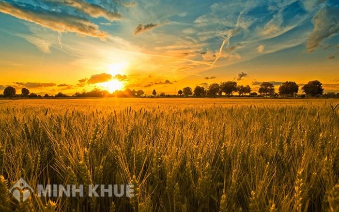 Diện tích cấp sổ đỏ và diện tích tối thiểu được tách thửa tại 63 tỉnh thành (P3)