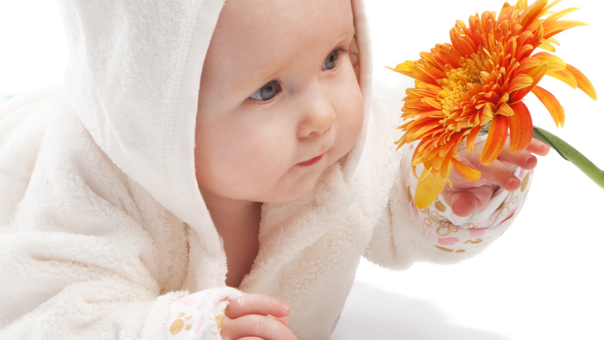 Đổi họ cho con riêng của vợ với chồng trước sang họ của mình có được không ?