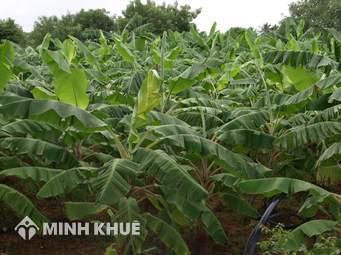 Đơn khởi kiện yêu cầu giải quyết tranh chấp đất đai theo mẫu mới nhất năm 2018 