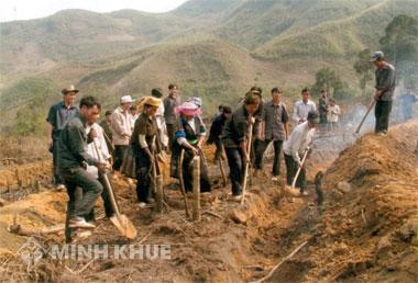 Em xin hỏi làm sao lấy lại đất khai hoang ?