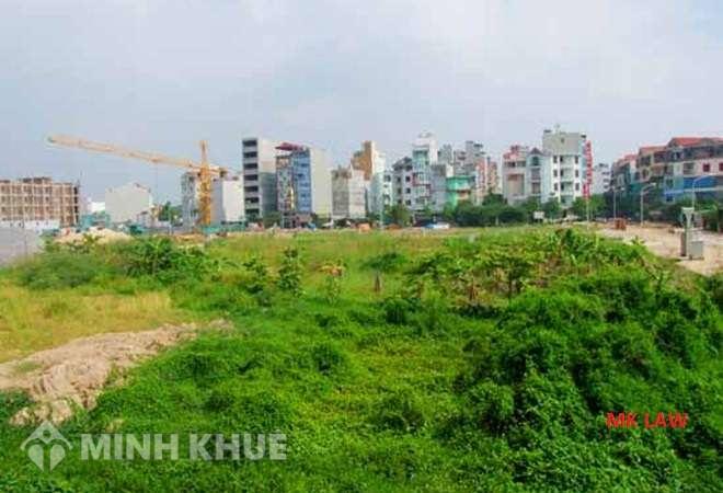 Tư vấn về giá đất hiện tại biến động như thế nào ?