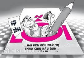 Tư vấn tranh chấp đất đai tại gia đình ?