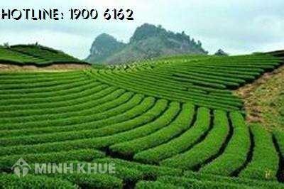 Hạn mức công nhận đất ở, qui định tách thửa đất mới nhất của Hà Nội ? 
