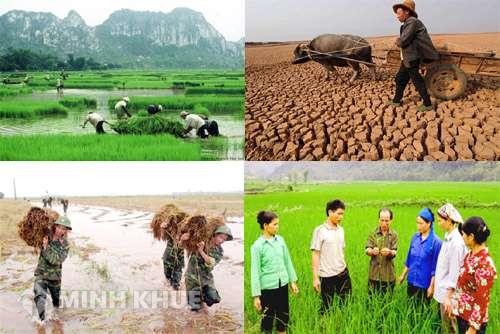 Hỗ trợ ổn định đời sống khi nhà nước thu hồi đất nông nghiệp ?