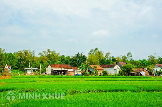 Hướng dẫn giải quyết tranh chấp đất vườn không có giấy chứng nhận quyền sử dụng đất ?