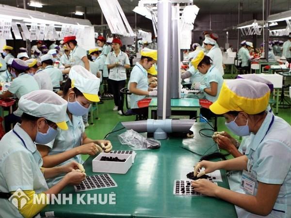 Hướng dẫn lập mẫu hồ sơ vệ sinh môi trường lao động đối với các yếu tố có hại, phòng chống bệnh nghề nghiệp theo quy định mới