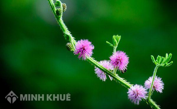 Khi đoàn viên không tham gia đi du lịch công đoàn cơ sở có được trừ tiền không?