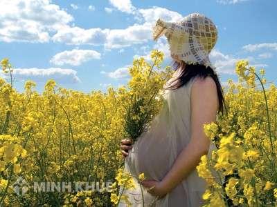 Không đóng bảo hiểm xã hội liên tục có được hưởng chế độ thai sản ?
