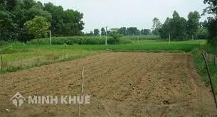 Làm thế nào để được giao đất thực hiện dự án đầu tư xây dựng ?