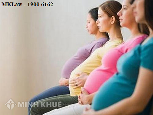 Mang thai 5 tháng bị cắt hợp đồng lao động có được hưởng chế độ thai sản hay không?