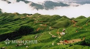 Mẫu thanh toán nợ tiền sử dụng đất hiện hành?