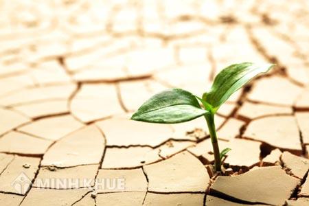 Mua bán đất chưa chuyển đổi đất thổ cư bằng giấy tờ viết tay thì có làm lại hợp đồng được không?