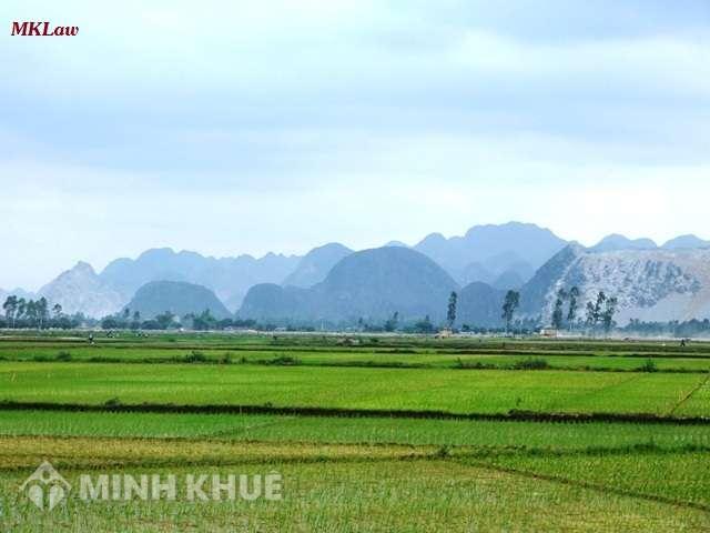 Mua đất nông nghiệp của dân là thuộc hình thức thuê đất nào ?