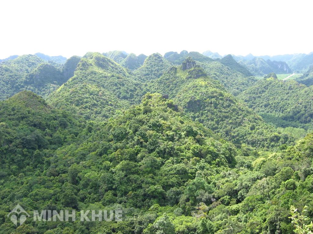Mua đất rừng khác huyện có làm thủ tục sang tên được không? 