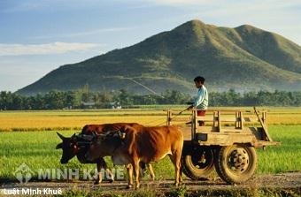 Mức bồi thường khi nhà nước thu hồi đất nông nghiệp ?