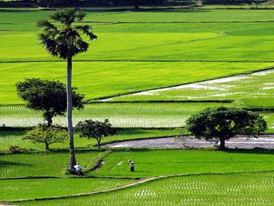 Mức đền bù cho người dân khi nhà nước thu hồi đất ?