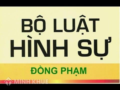 Những hình thức xóa án tích nào được quy định trong Bộ luật Hình sự ?