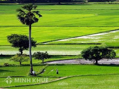 Phí chuyển đổi mục đích sử dụng đất là bao nhiêu ?