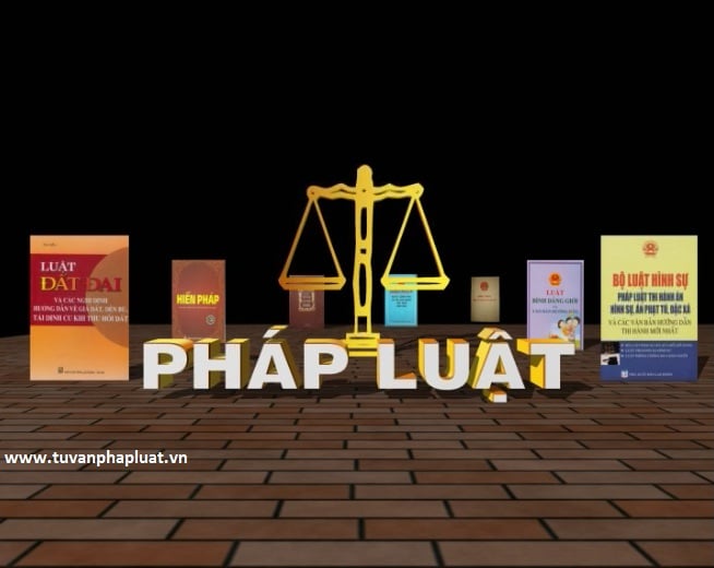 Quy trình giải  quyết đơn tố cáo thực hiện như thế nào ?