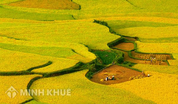 Thỏa thuận về tranh chấp đất đai sau khi có bản án phúc thẩm ?