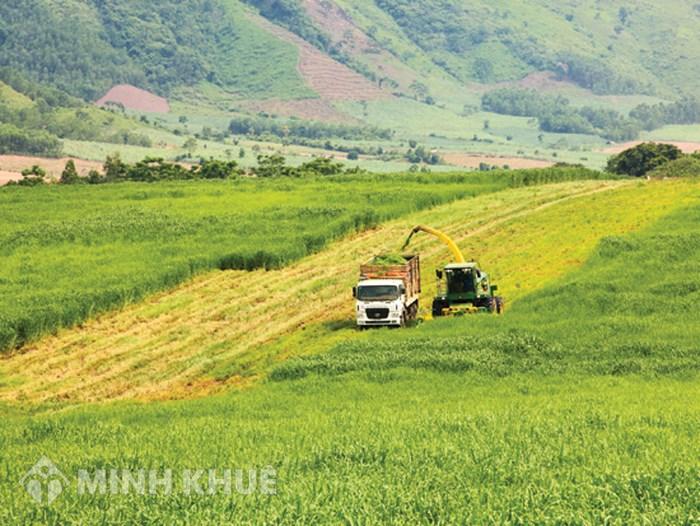 Thời hạn sử dụng đất trồng cây lâu năm còn 38 năm thì có làm thủ tục chuyện nhượng quyền sử dụng được không ?   