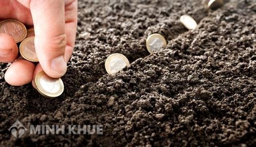 Thu tiền sử dụng đất đối với đất khai hoang lấn chiếm khi cấp GCN như thế nào ? 