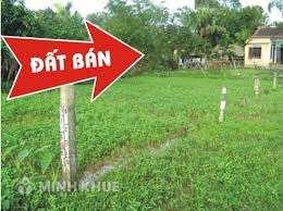 Hướng dẫn thủ tục mua đất đai một cách hợp pháp ?
