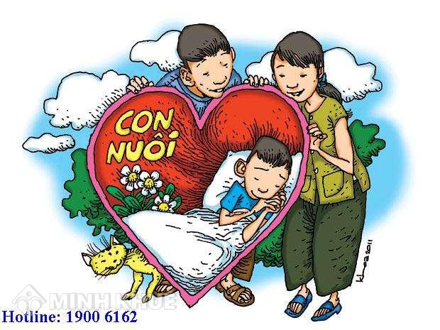 Hướng dẫn thủ tục nhận con nuôi có yếu tố nước ngoài ?
