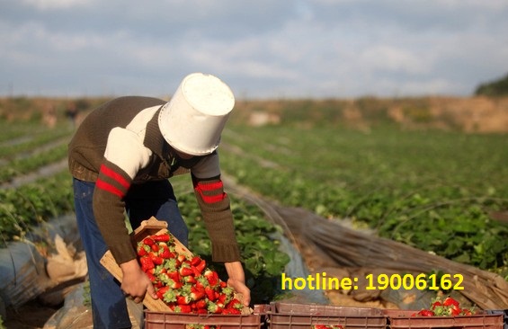 Thủ tục xin chuyển mục đích sử dụng đất, Phí và lệ phí phải nộp khi chuyển mục đích sử dụng đất ?