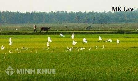Tư vấn bồi thường khi thu hồi đất Nông Nghiệp ?