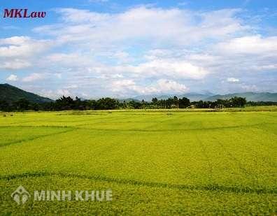 Tư vấn giải quyết tranh chấp đất đai cụ bà tặng cho ?