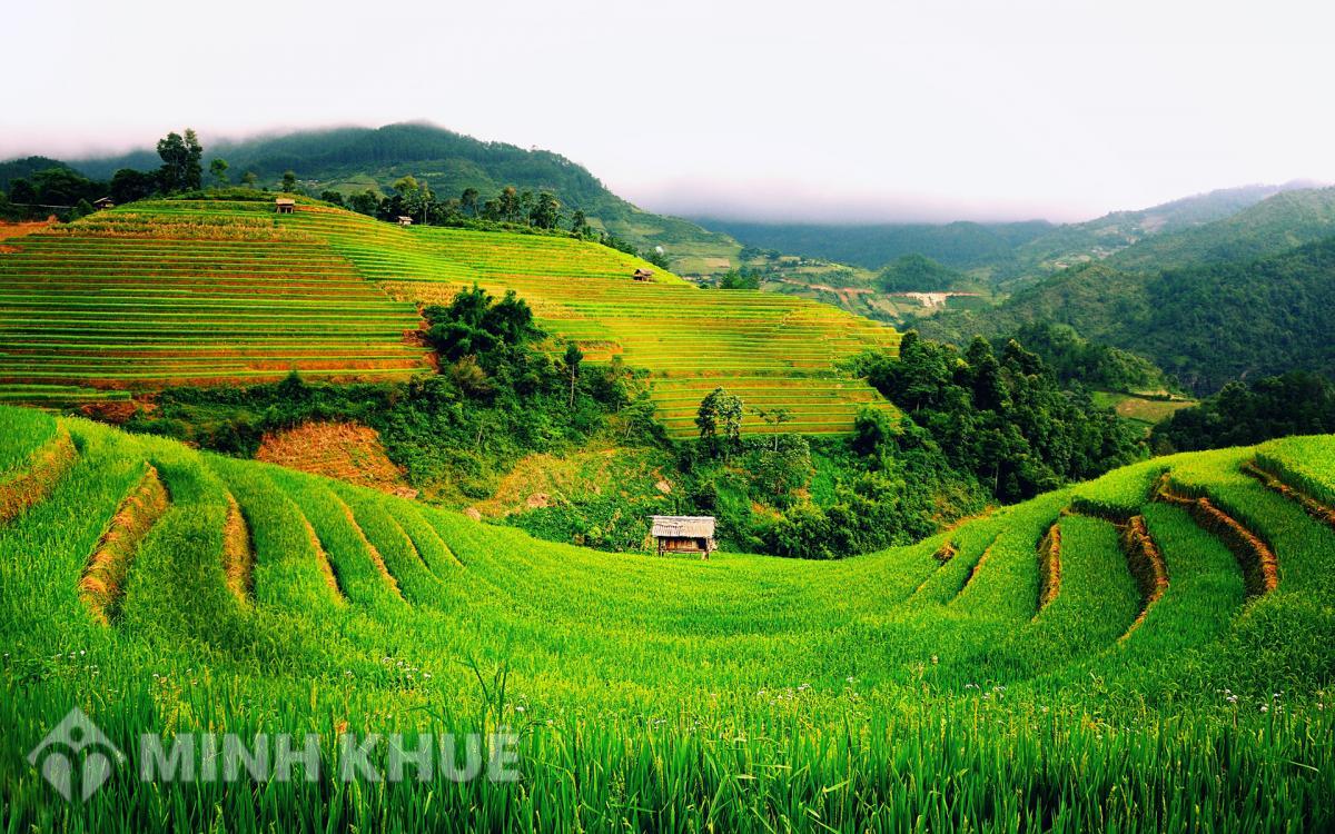 Tư vấn giải quyết tranh chấp đất đai giữa các gia đinh khi nhà nước thu hồi đất làm đường ?
