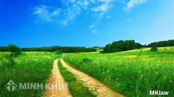 Tư vấn giải quyết tranh chấp đất đai giữa mẹ với cậu ruột ?
