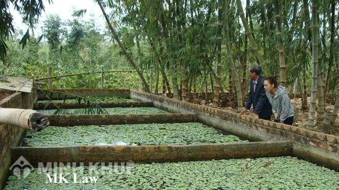 Tư vấn mức đền bù đối với tài sản trên đất khi nhà nước giải phóng mặt bằng ?