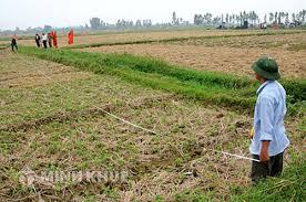 Thu hồi đất khai hoang để thực hiện dồn điền đổi thửa ?