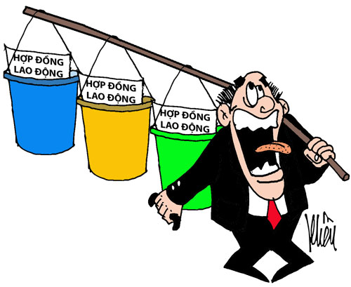 Tư vấn về chấm dứt hợp đồng lao động ?