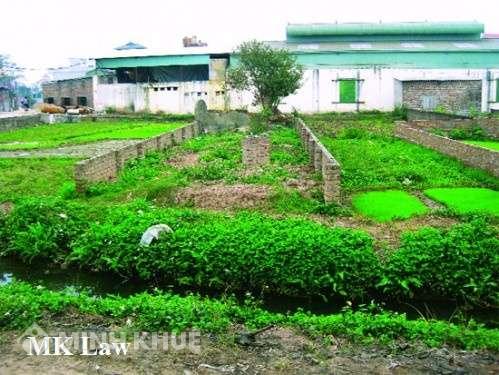Tư vấn về việc đất nền phân lô không được chuyển đổi mục đích sử dụng đất?