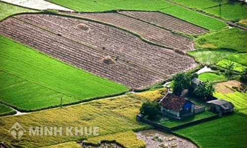 Xây dựng nhà trên đất nông nghiệp có được bồi thường khi thu hồi đất không?