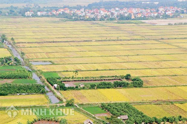Quy định về phân chia di sản thừa kế ?