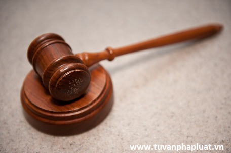 Xin tư vấn mua một phần đất trong thửa đất ?