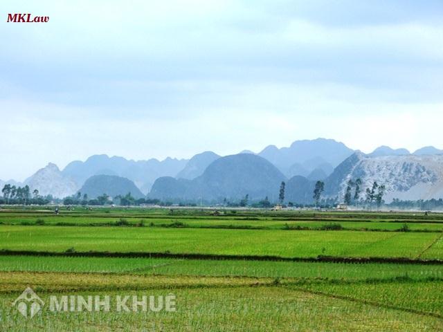 Tư vấn trường hợp có đường dây điện thoại đi qua phần đất ở ?