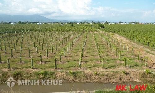 Tư vấn chuyển mục đích đất chưa sử dụng?