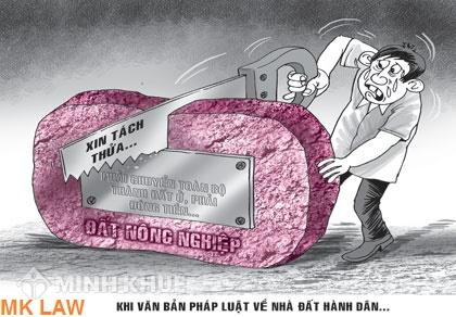 Thủ tục tách sổ đỏ