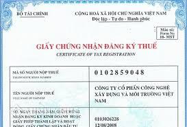 Mất mã số thuế cá nhân ?