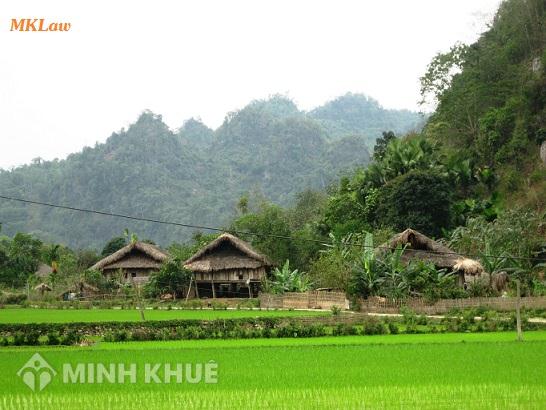 Bố mẹ chuyển nhượng đất cho con thì có phải nộp thuế đất ?