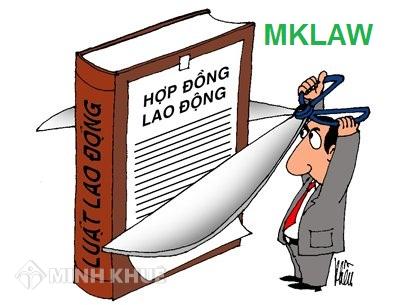 Tư vấn ưu, nhược điểm của hợp đồng lao động.