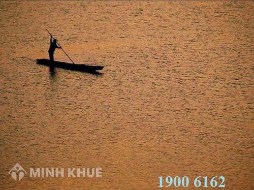 Tư vấn xử phạt vi phạm hành chính lĩnh vực văn học ?